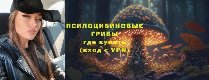 Галлюциногенные грибы Psilocybe  Заречный 